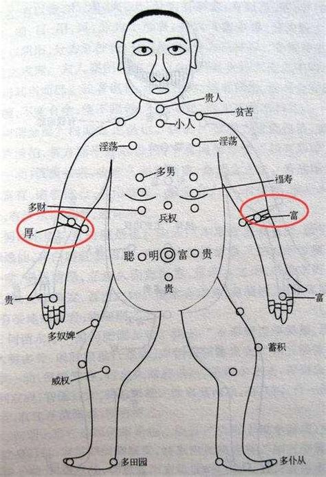 左手肘有痣|痣的位置透露出這些訊息！上手臂有痣不乏追求者、手。